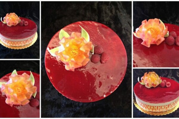 Bavarois Chocolat Blanc Framboise Thermomix : Recette Facile