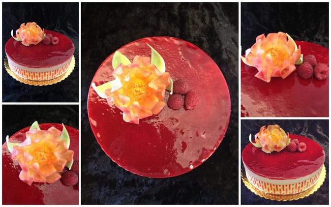 Bavarois Chocolat Blanc Framboise Thermomix : Recette Facile