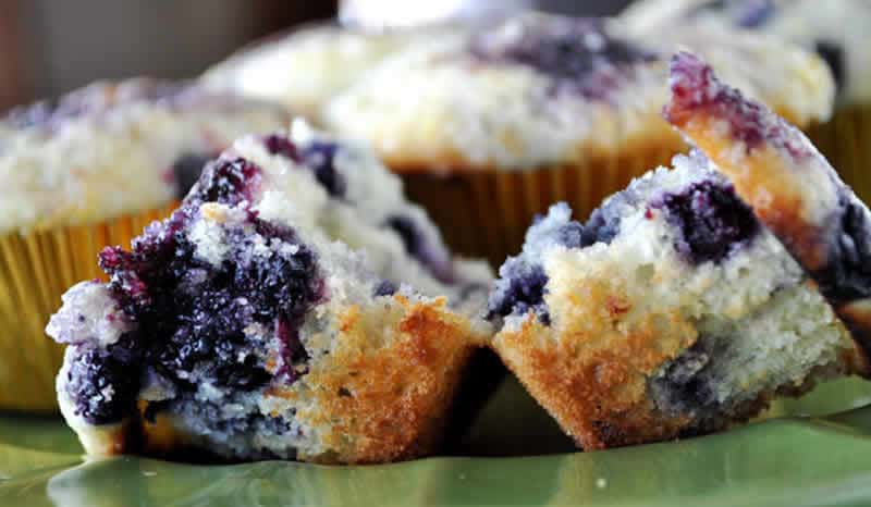 Muffins légers aux myrtilles au Thermomix : recette facile