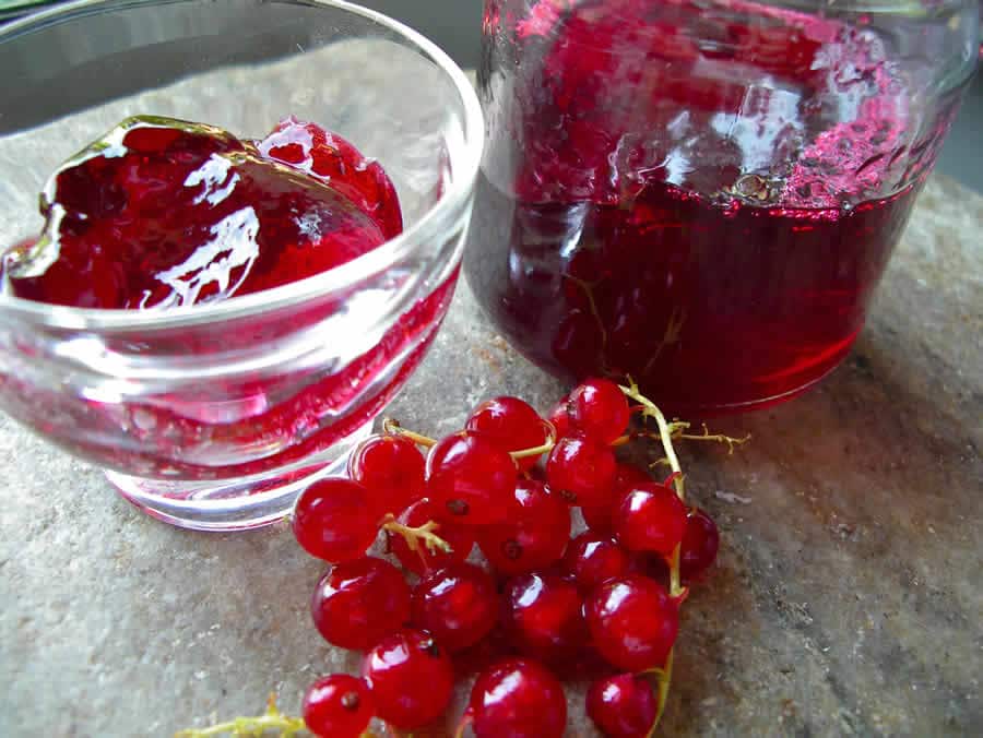 Gelée des Groseilles au Thermomix Facile et Maison