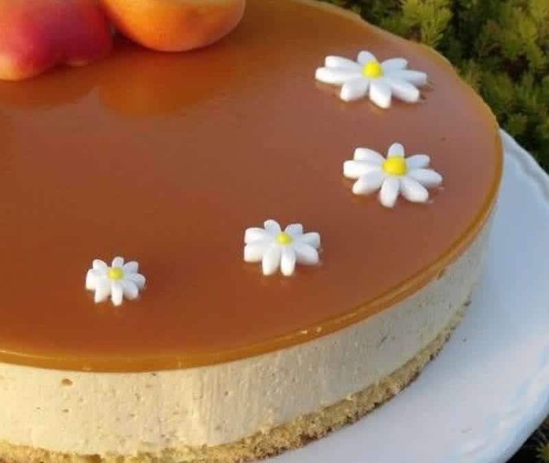 Bavarois abricot recette Weight Watchers au Thermomix, léger et fruité