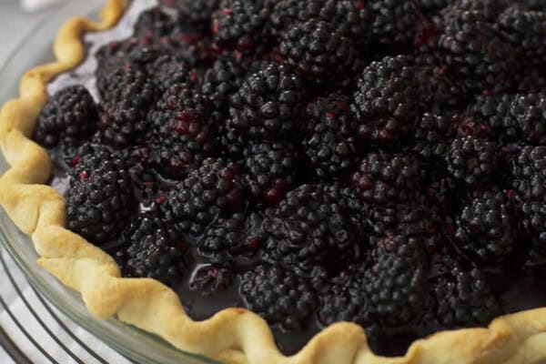 Tarte aux Mûres au Thermomix : Recette Facile et Fruitée