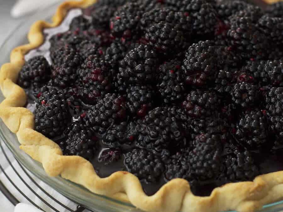 Tarte aux Mûres au Thermomix : Recette Facile et Fruitée