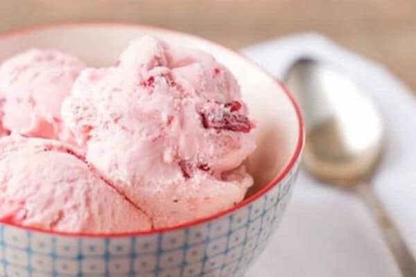 Sorbet aux Fraises Tagada au Thermomix : le Dessert Régressif Réussi