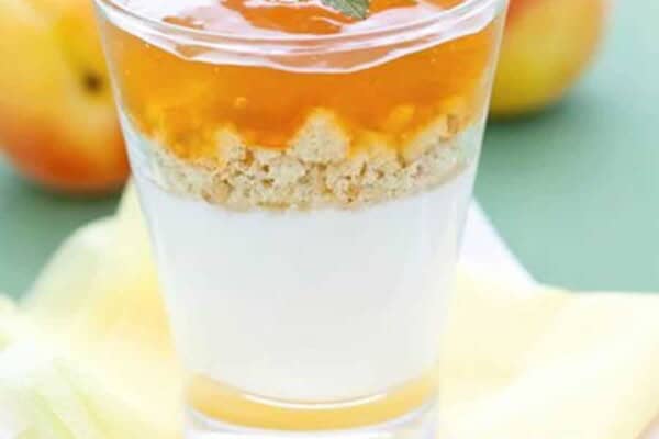 Tiramisu aux Abricots au Thermomix : Frais, Facile et Prêt en 20 Min