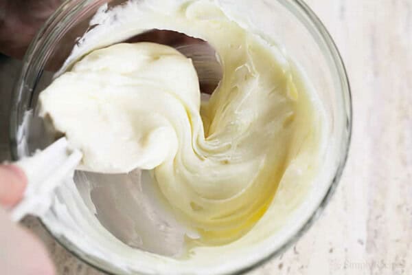 Fromage Philadelphia fait maison au thermomix