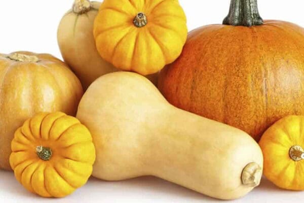 Profiter du potimarron toute la saison