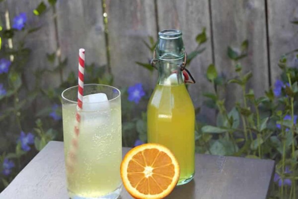 Boisson gazeuse façon Orangina au Thermomix