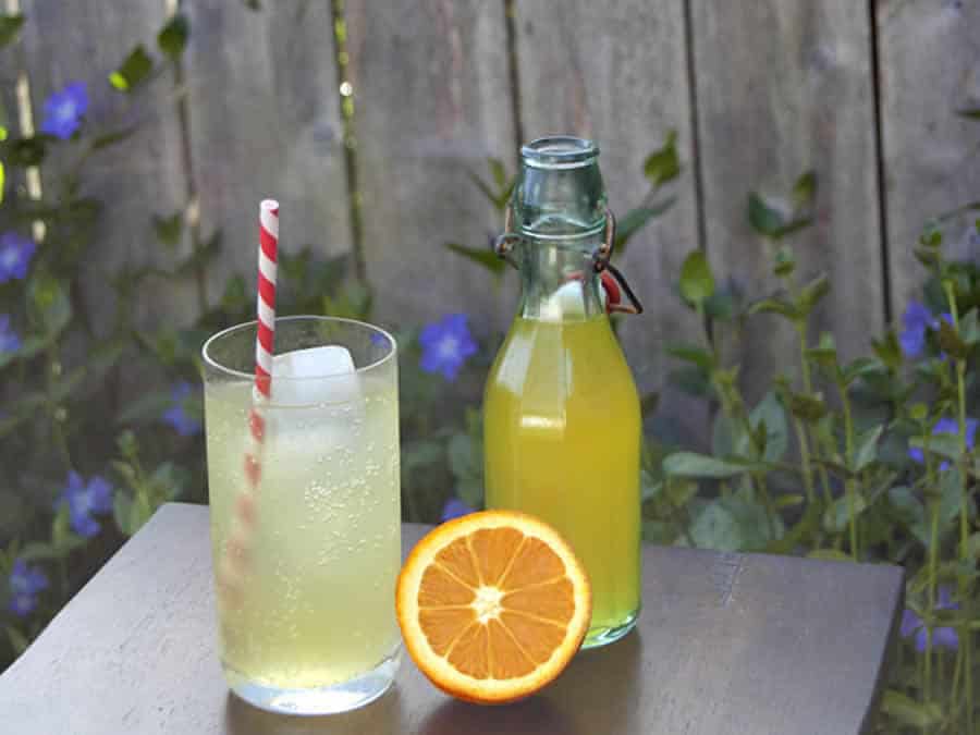Boisson gazeuse façon Orangina au Thermomix