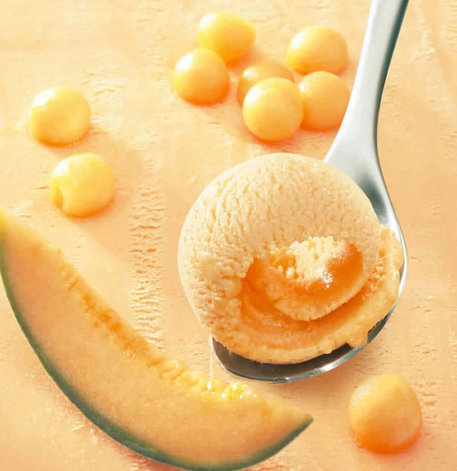 Sorbet melon au Thermomix (Recette247)
