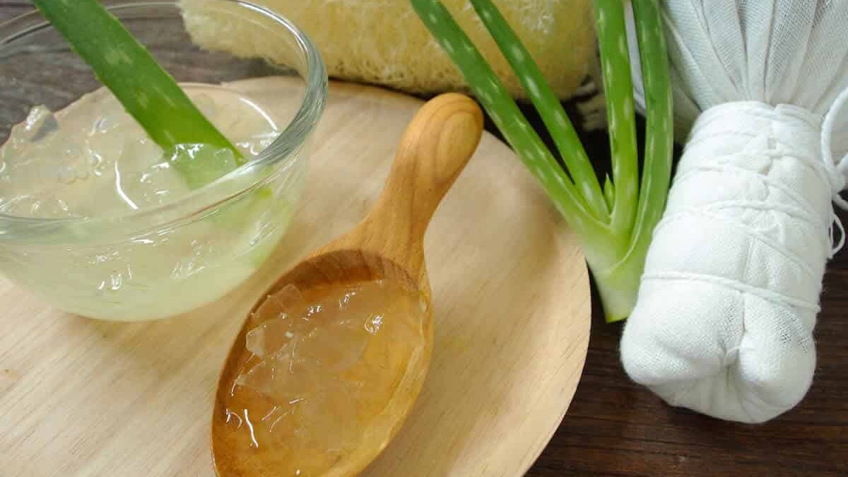 Gel d'Aloe Vera BIO au Thermomix