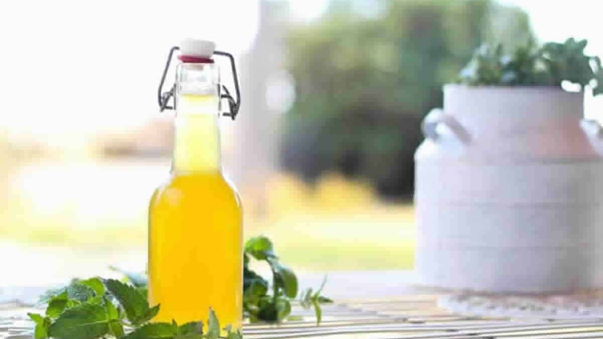 La recette la plus simple pour un sirop de menthe au Thermomix qui rendra vos sirops d'été agréables et frais !