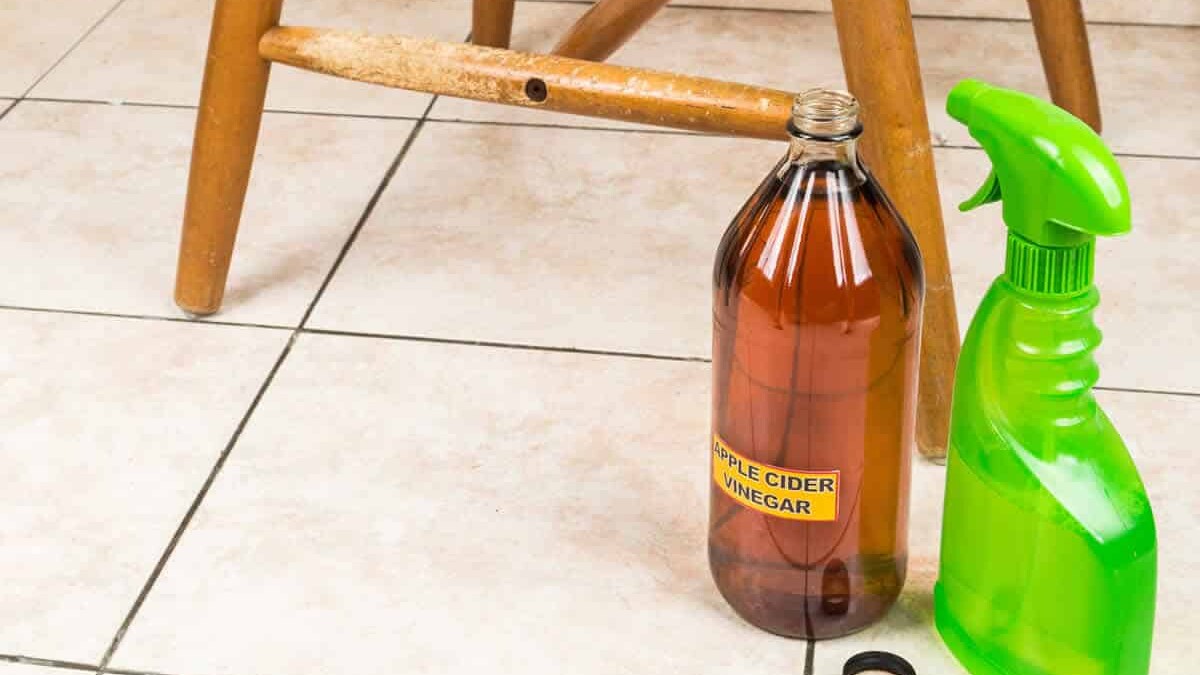 AVEC LE VINAIGRE DE CIDRE DE POMME, NOUS FAISONS BRILLER NOTRE MAISON