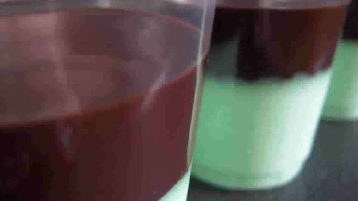 Crème à la menthe rafraîchissante avec coulis au chocolat délicieux