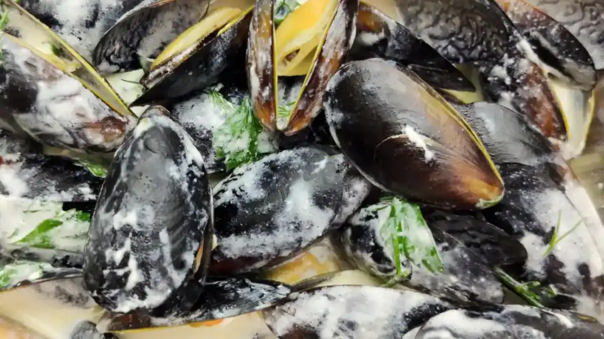 Moules à la crème