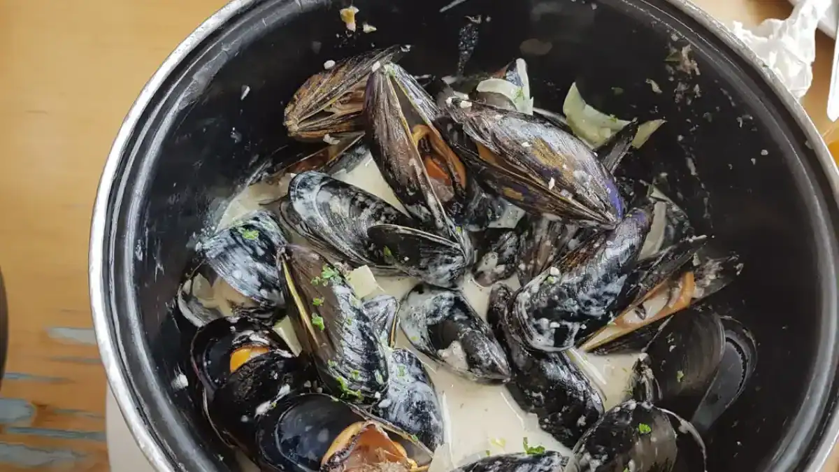 Moules marinières dans une cocotte avec leur jus au vin blanc