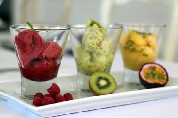 Sorbet aux Fruits Thermomix : Recette Minute et Facile