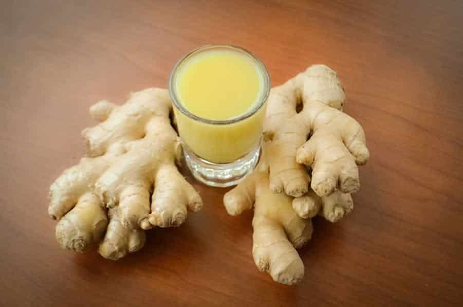 Recette de Jus de Gingembre au Thermomix à la Maison