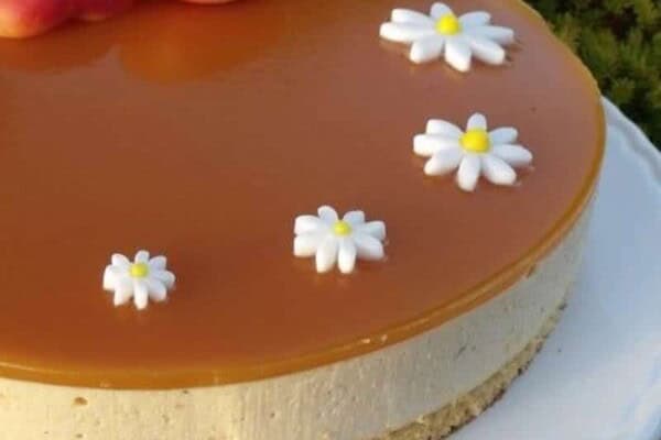 Bavarois abricot recette Weight Watchers au Thermomix, léger et fruité Bavarois abricot recette Weight Watchers au Thermomix, léger et fruité