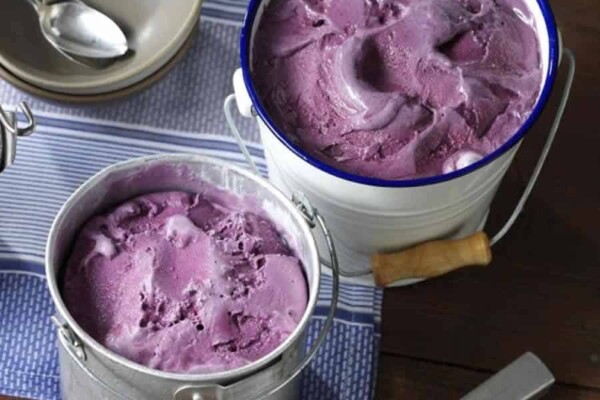 Glace à l'italienne aux myrtilles au Thermomix Glace à l'italienne aux myrtilles au Thermomix