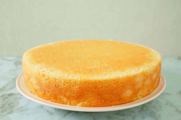 Gâteau léger au skyr : Un dessert délicieux et peu calorique