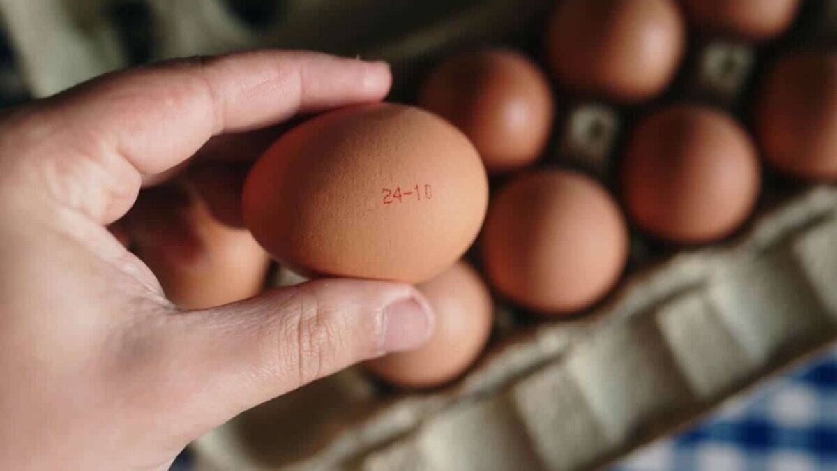 Comment savoir si un œuf périmé est encore bon