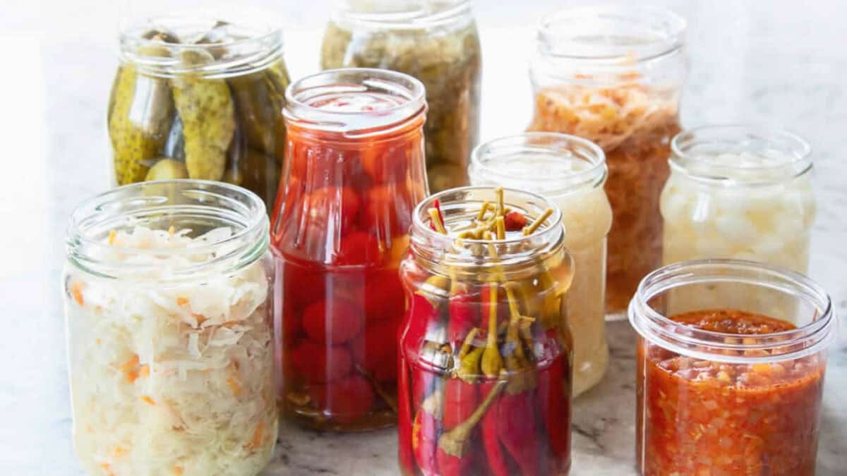 Maîtrisez l'Art Ancien de la Lacto-Fermentation : Une Alchimie Culinaire à Votre Portée